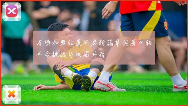 万项加盟红星开启新篇章优质中转平台挑战与机遇并存