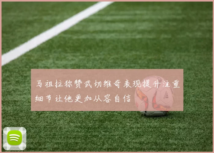 马祖拉称赞武切维奇表现提升注重细节让他更加从容自信