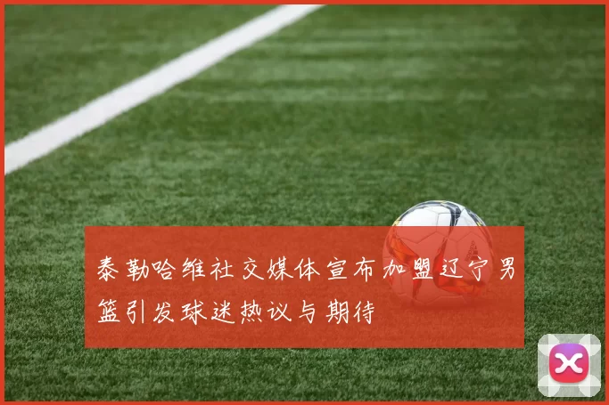 泰勒哈维社交媒体宣布加盟辽宁男篮引发球迷热议与期待